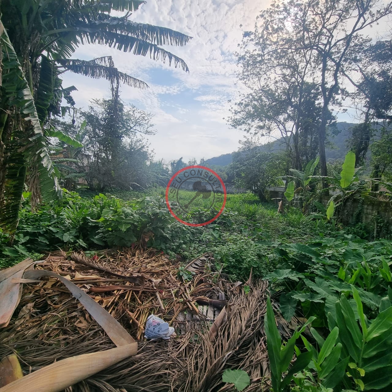 Terreno à venda, 1000m² - Foto 4