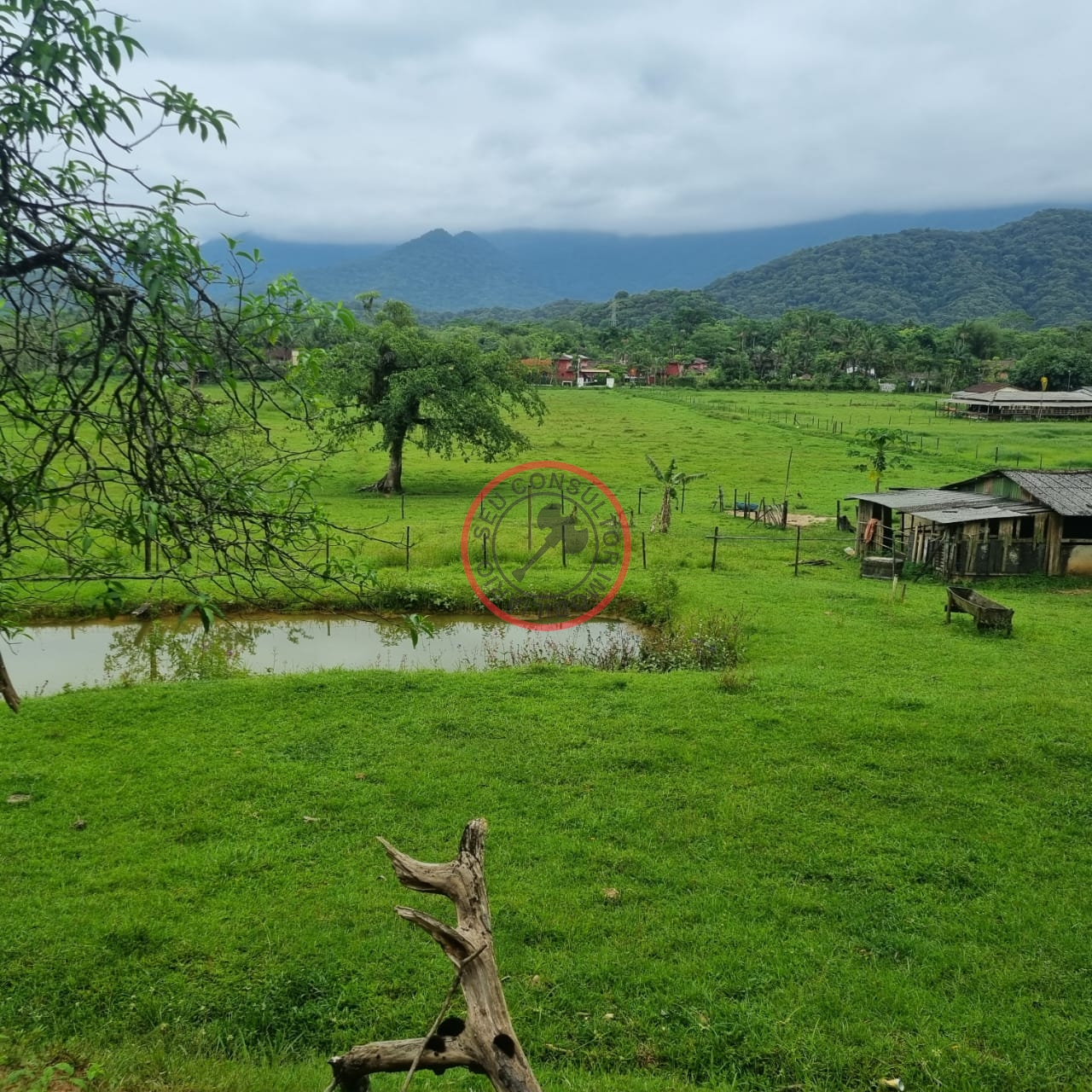 Fazenda à venda com 6 quartos, 55m² - Foto 36