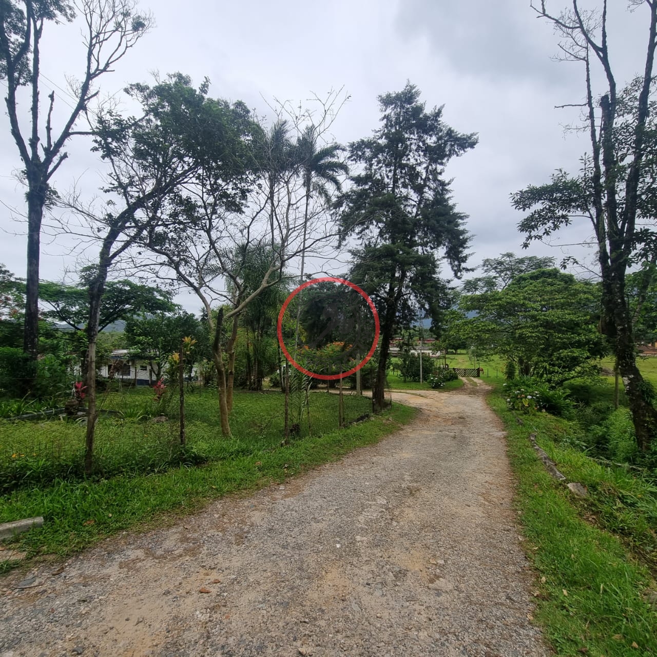 Fazenda à venda com 6 quartos, 55m² - Foto 33