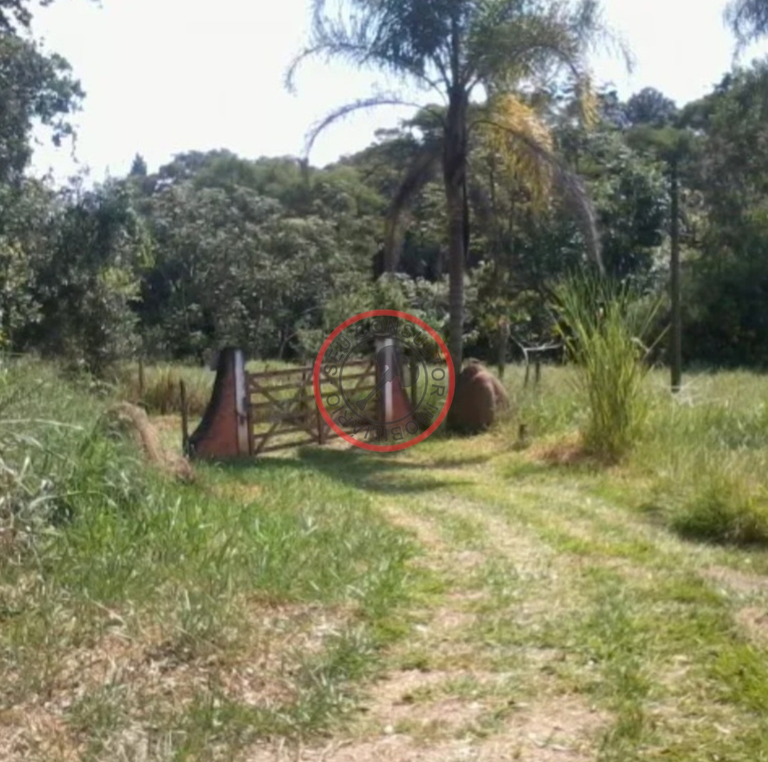 Fazenda à venda com 4 quartos, 350m² - Foto 5