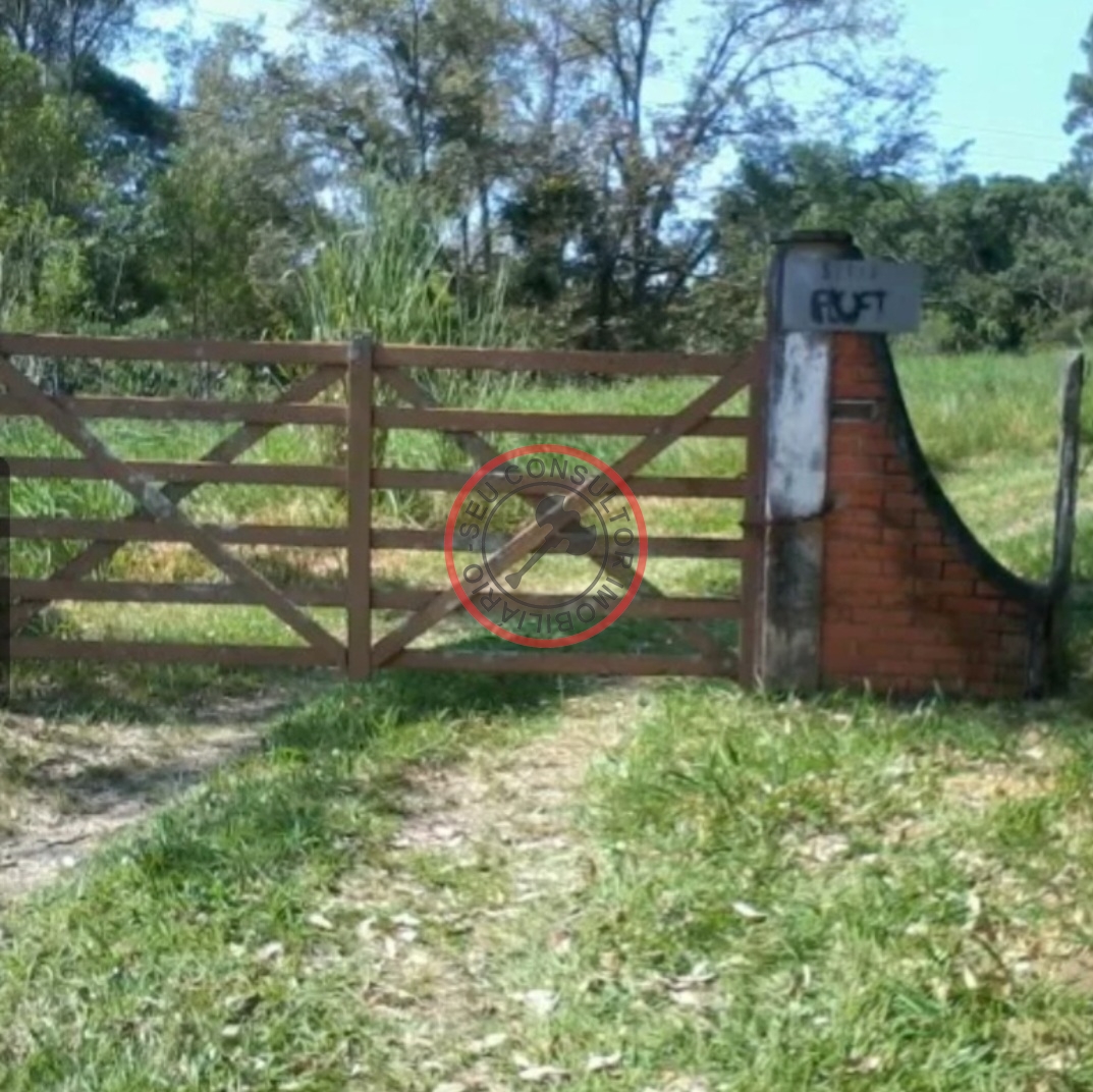 Fazenda à venda com 4 quartos, 350m² - Foto 10