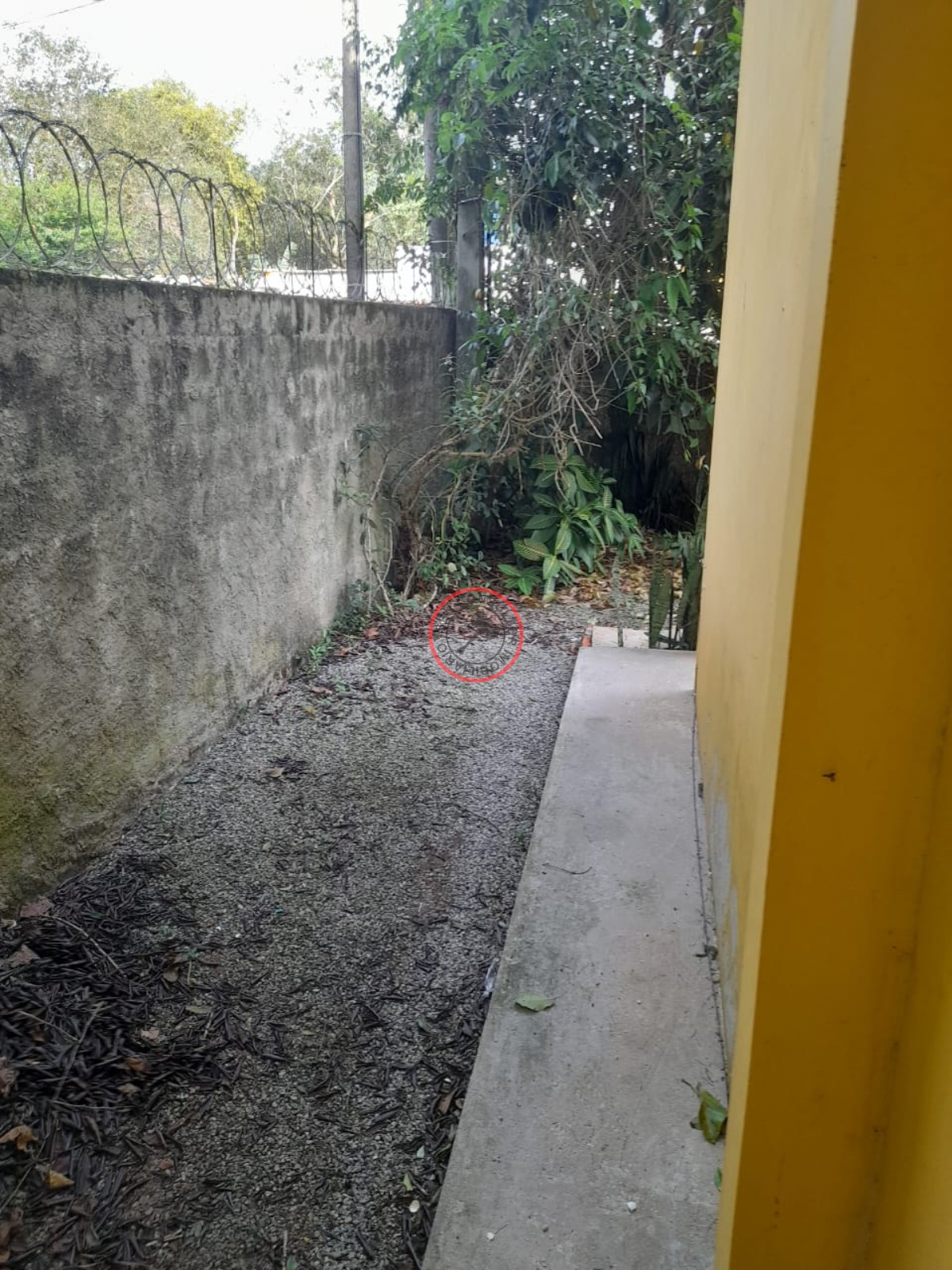 Casa para alugar com 2 quartos, 100m² - Foto 19